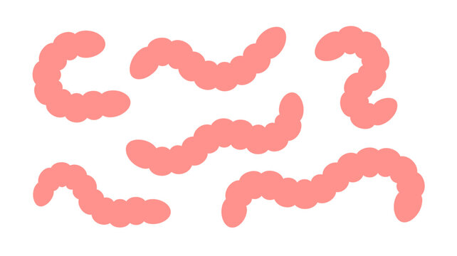 A graphic depiction shows several segmented pink worm like creatures arranged on a plain white background representing invertebrates or larvae high quality professional detailed modern elegant