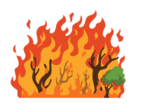 Forest fire destroys scorched trees, forest fires deforestation