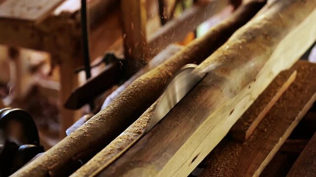Bandsaw blade cutting fresh timber log at traditional sawmill workshop