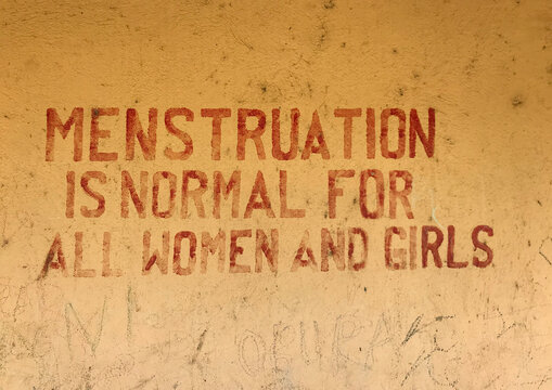Mural on a school about menstruations, Boya Mountains, Imatong, South Sudan