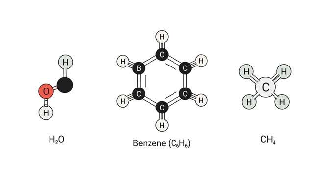 Chemical molecular structures of compounds.