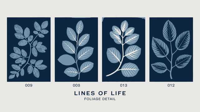 A set of four cyanotype prints displays delicate foliage arrangements numbered and titled lines of life with detail high quality professional detailed modern elegant stylish clean