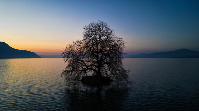 Aerial view of a solitary tree in calm lake waters, silhouetted against the twilight sky's orange and blue, Villeneuve, Vaud, Switzerland.