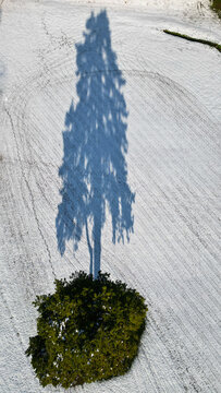Aerial view of a lone tree casting a long shadow on a snow-covered landscape, contrasting with a patch of green at its base, Cheserex, Vaud, Switzerland.