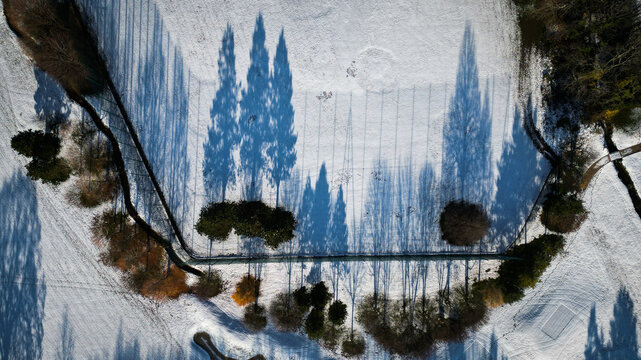 Aerial view of long tree shadows stretching over a snow-dusted field, creating geometric patterns of light and dark, Cheserex, Vaud, Switzerland.