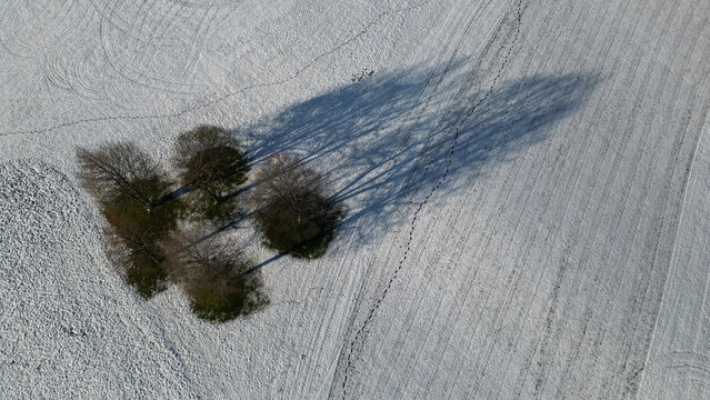 Aerial view of stark trees casting long, dramatic shadows across a snow-covered field, creating a study in contrast and winter's quiet beauty, Cheserex, Vaud, Switzerland.