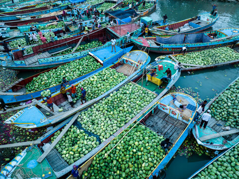 Aerial view of boats overflowing with vibrant green produce create a lively mosaic on the waters, Barishal, Barisal Division, Bangladesh.