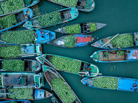 Aerial view of boats laden with vibrant green produce clustered tightly on the dark water, a bustling market scene unfolds from above, Barishal, Barisal Division, Bangladesh.