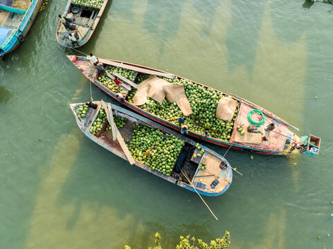 Aerial view of boats laden with vibrant green produce float on shimmering waters, creating a lively scene of commerce and transport, Barishal, Barisal Division, Bangladesh.