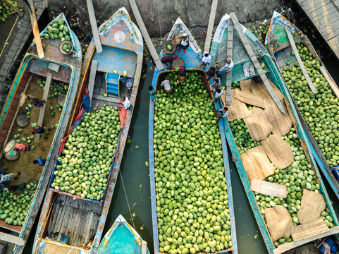 Aerial view of boats laden with pale green melons create a vibrant mosaic on the water, Barishal, Barisal Division, Bangladesh.