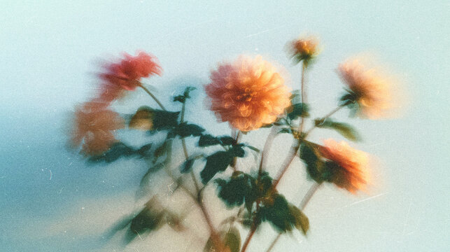 Soft Blurred Y2K Florals Vintage Backgrounds
