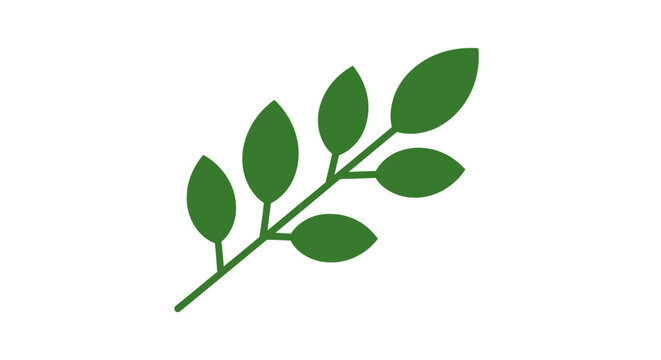Green leaf branch with leaves.