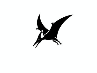 Pteranodon dinosaur flying silhouette isolated on white background © Angela