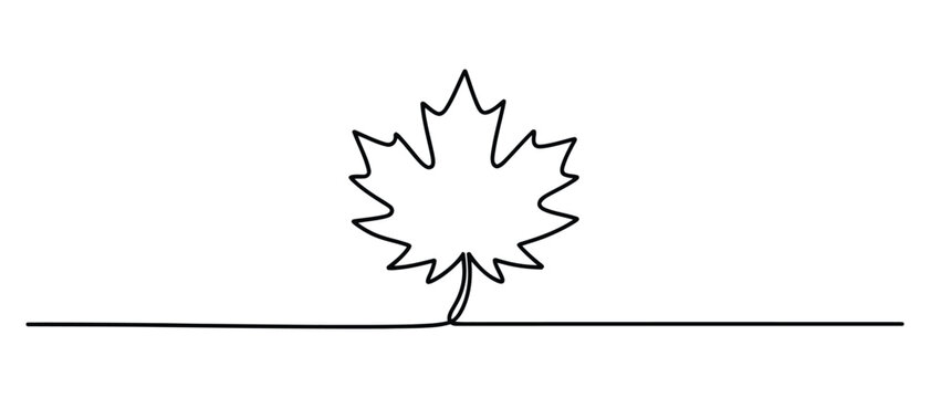 Single maple leaf on transparent background, vector illustration