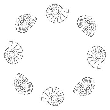 Wreath or round frame with argonauta seashells and   rapana seashells outline for greeting cards, banners, flyers, invitations