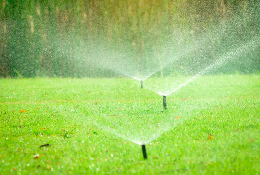 Automatic lawn sprinkler watering green grass. Sprinkler with automatic system. Garden irrigation system watering lawn. Water saving or water conservation from sprinkler system with adjustable head.