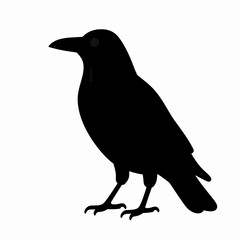 Obraz premium Bold Crow Silhouette Vector Icon: Majestic Raven Graphic Illustration for Tattoo, Logo, and Modern Design Projects
