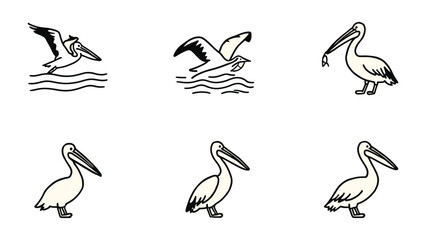 Fototapeta premium Pelican sketches: A set of delicate line art illustrations capturing pelicans in various poses, showcasing their unique features and graceful movements.