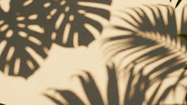 Monstera and palm leaf shadows projected onto a light cream colored textured plaster wall background with bright direct sunlight creating a minimalist tropical nature pattern.