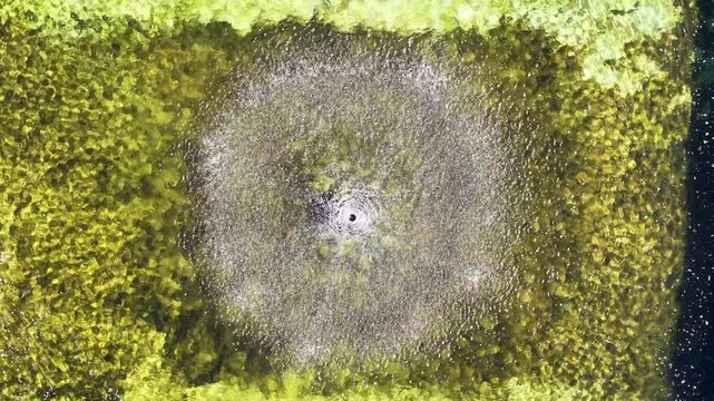 Drone view at the fountain of villa Carlotta on lake Como in Italy