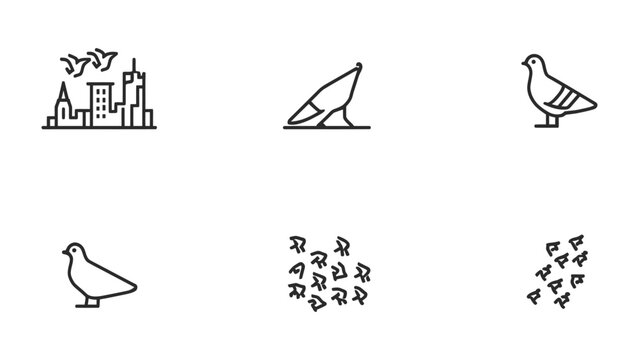 Pigeon Icon Set: This monochrome illustration presents a variety of pigeon icons, each meticulously designed to capture different aspects of these familiar urban birds.