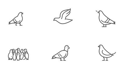 Pigeon Icon Set: Simple and elegant outline icons featuring pigeon in various poses. © abidakhatun