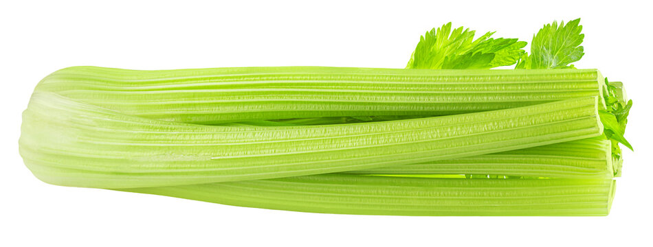 Celery isolated on white. Fresh celery ribs. Celery stalks  with green leaves. Dieting concept