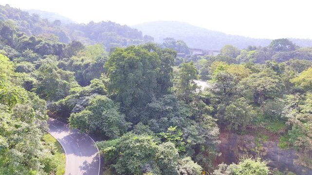 Hill Bridge Through Forest Landscape in Shimla Drone View