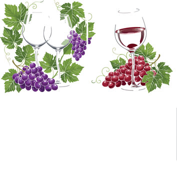 rapes and Wine Glasses Illustration Set Featuring Red and Purple Grapes with Vineyard Leaves for Wine Tasting, Beverage, and Gourmet Design