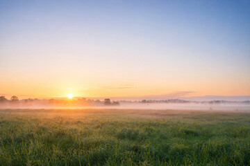 Fototapeta premium Open grassland at sunrise with low fog and clean horizon copy space