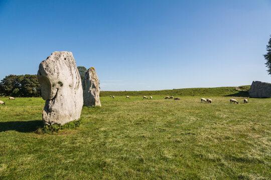 Ancient Neolithic Stone Circle at Avebury Henge in a Green Landscape under Clear Sky
