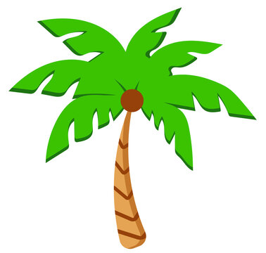 vector illustration of a palm tree