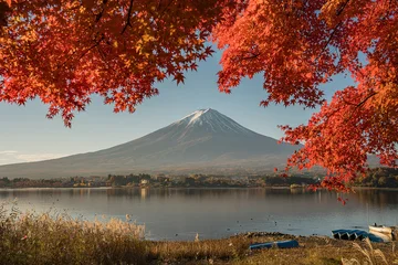 Fototapete Braun Mount Fuji view at Lake Kawaguchiko in Autumn season. Yamanashi, Japan. Landmark for tourists attraction.  © Chalearmrat