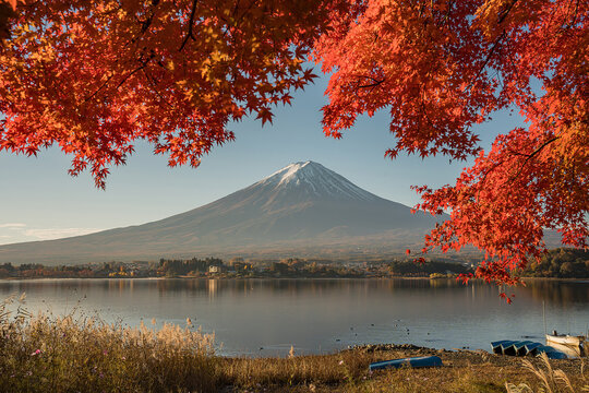Mount Fuji view at Lake Kawaguchiko in Autumn season. Yamanashi, Japan. Landmark for tourists attraction.