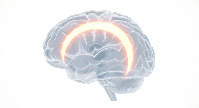 A glowing brain illustration with a bright orange arc, representing creativity and innovation