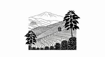 Naklejka premium Lush, stepped agricultural terraces rise towards a distant, snow-capped mountain peak