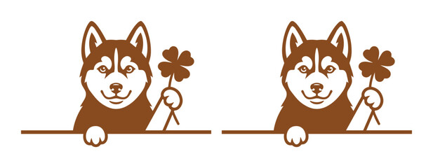 Siberian husky dog vector illustration holding four leaf clover, cute puppy mascot peeking over edge, brown line art pet character for Saint Patricks Day © Ahmad