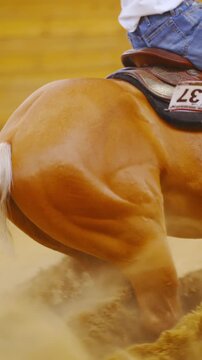 Horse sliding stop in riding arena throwing sand around side view slow motion