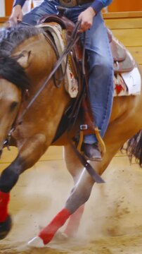 Beautiful western horse galloping inside the arena in slow motion