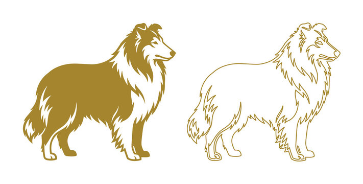 Rough Collie dog vector silhouettes, gold sheepdog breed profile icons, set of 2 standing long-haired collie illustrations for pet branding and logos