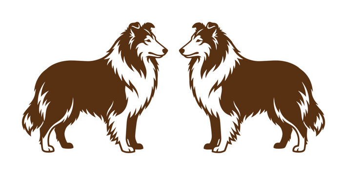 ヴィンテージスタイルのラフコリーのイラスト, 向かい合う2匹の犬のベクターシルエット, ブラウンとホワイトのクラシックな牧羊犬のグラフィック, ペットショップや動物病院のロゴデザインに最適な動物素材