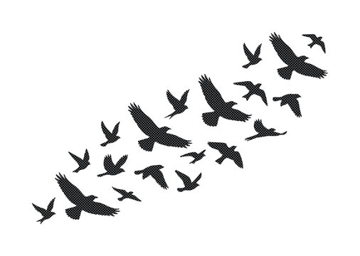 空を飛ぶ鳥の群れのシルエット, 自由と移動を象徴する渡り鳥のベクターイラスト, 黒い鳥の飛行パターン, 自然の風景やグラフィックデザインに最適なミニマルな背景素材