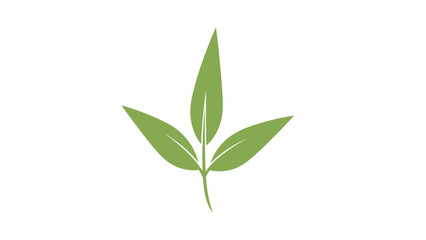 Fototapeta premium Simple graphic illustration of three vibrant green leaves growing from a single stem isolated on a plain white background for logo use.
