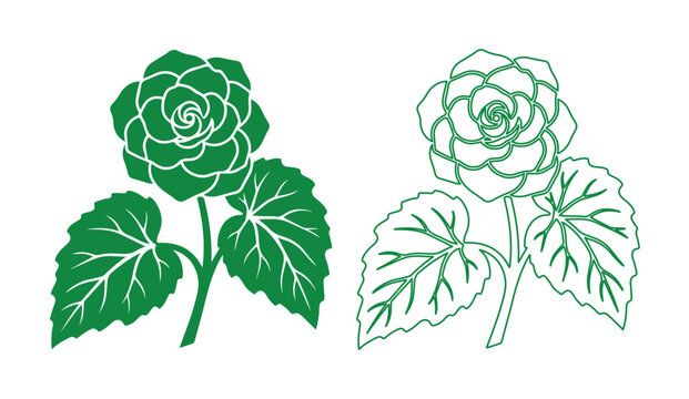 ベゴニアの花のベクターイラストセット, 緑色のシルエットと線画の2種類のバリエーション, 植物の葉と茎を含むボタニカルなデザイン素材, ロゴやパッケージデザインに最適な花のアイコン