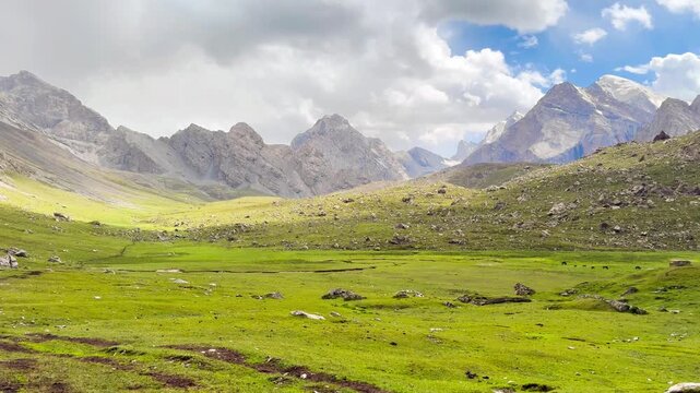 Panning video shows green grasslands on the Old Silk Road trek in Xinjiang, China. Beautifully layered mountains with copy space on top. The idea for adventure footage with copy space.