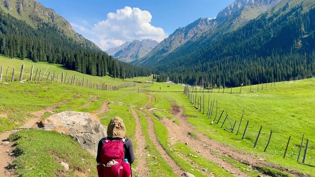 A woman walking on a grassy hillside on both sides of the Tian Shan Mountains in Xinjiang Province, China. Mountains and pine trees surround the area on a clear day with fluffy white clouds.