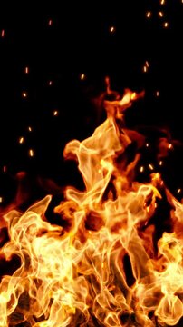 Vertical fiery flames and sparks flying flow isolated on black backgrounds rendering 4k