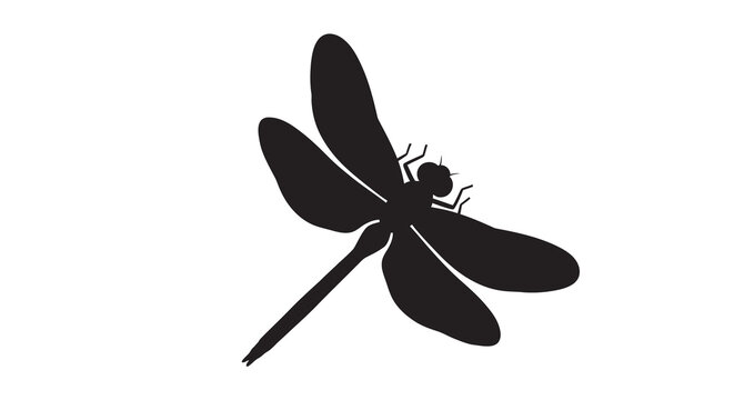 A striking silhouette of a dragonfly with detailed wing structure
