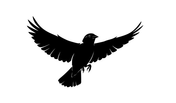 Flying bobolink silhouette vector small bird in motion with wings spread isolated on white background