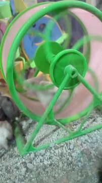 footage of a hamster happily playing and running in a green hamster running wheel